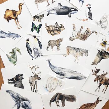 Carte du monde animal Impression artistique 4