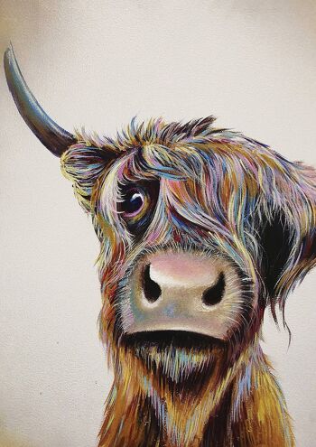 Impression d’art giclée (A4/A3) - Une vache des Highlands avec un mauvais poil 2