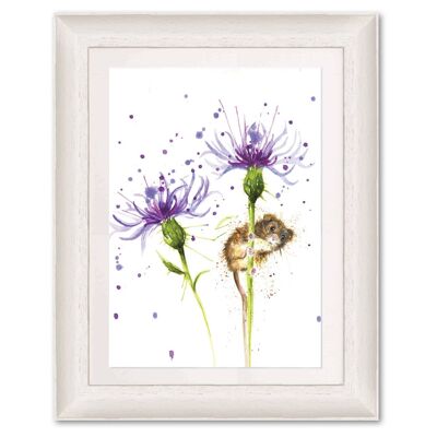 Splatter Cornflower Mouse