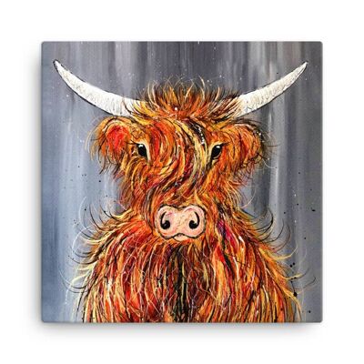 Grande toile de vache des Highlands balayée par le vent
