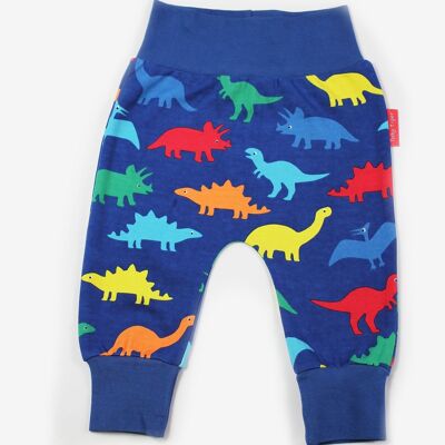 Organic "cotton yoga pants" with colorful rainbow dinosaur print
