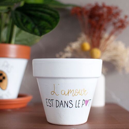 Pot de fleur / cache pot en terre cuite : L'amour est dans le pot