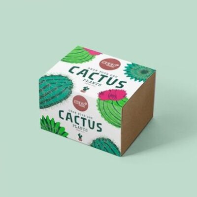 MEZCLA DE CACTUS