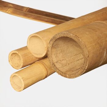 Canne de bambou légère
