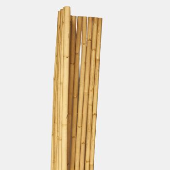 Clôture enroulable en bambou / brise-vue en bambou de couleur claire 2