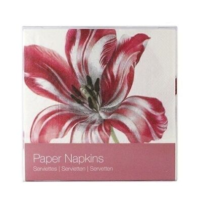 Serviettes papier, Trois Tulipes, Merian