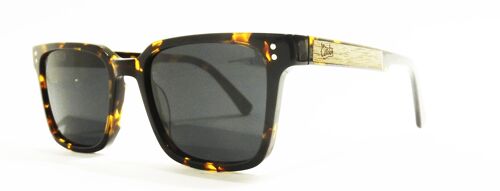 Sunglasses 226 -dean - acetate tortoise