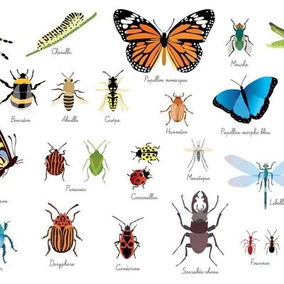 Children's Placemat: Insects