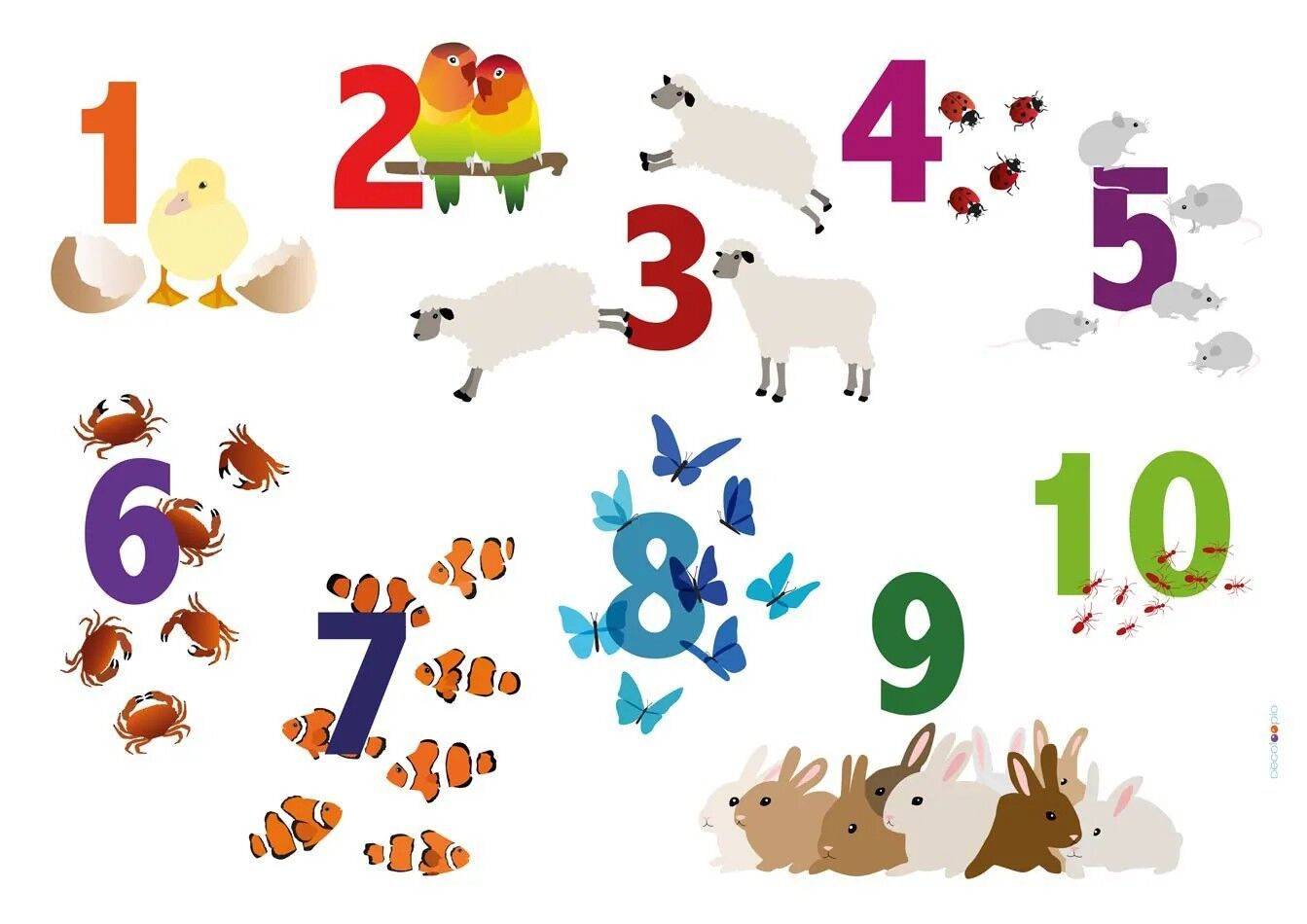 Tovaglietta per bambini: Numeri