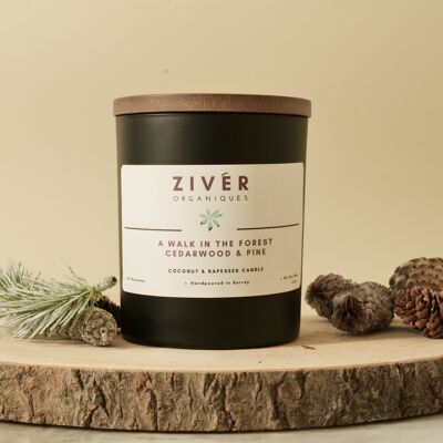 A Walk in the Forest | Eco Friendly Scented Candle | Sustainable Coconut & Rapeseed Wax | Cedarwood Pine Cypress