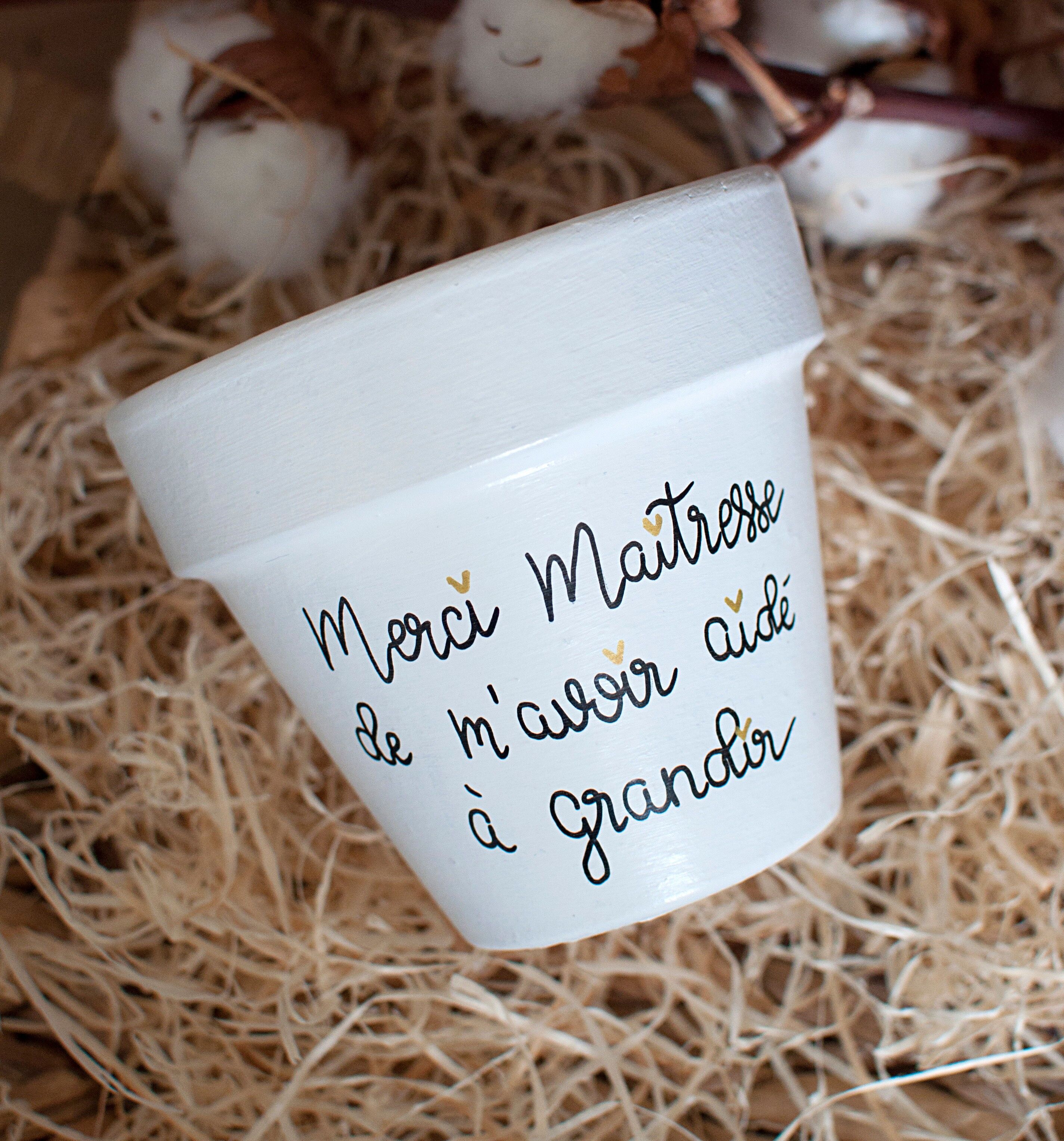 Vaso di terracotta / vaso di fiori: Grazie, maestra, per avermi aiutato a crescere [regalo di fine anno scolastico / regalo per l'insegnante / regalo per la tata]