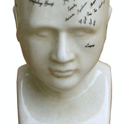 Small Ceramic Phrenology Head 19cm