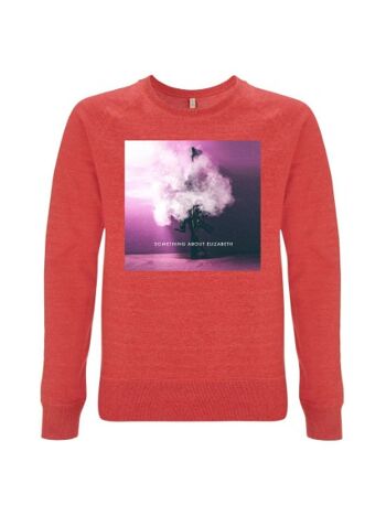 Le sweat Smoking Gun 6