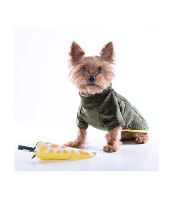 Manteau pour chien vert en velours côtelé Groc Groc Chiu Boton Earl Grey 1