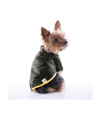 Manteau pour chien vert en velours côtelé Groc Groc Chiu Boton Earl Grey 2