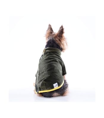 Manteau pour chien vert en velours côtelé Groc Groc Chiu Boton Earl Grey 3