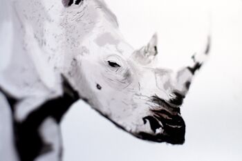 Affiche Imprimée sur papier aquarelle Rhinocéros digital painting décoration intérieure 4