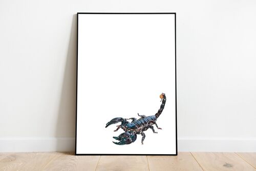 Affiche Scorpion. Animal Totem. Affiche décoration intérieure