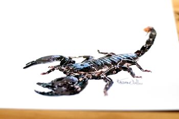 Affiche Scorpion. Animal Totem. Affiche décoration intérieure 2