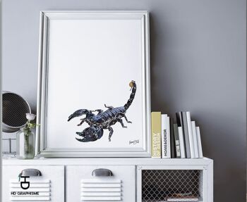 Affiche Scorpion. Animal Totem. Affiche décoration intérieure 4