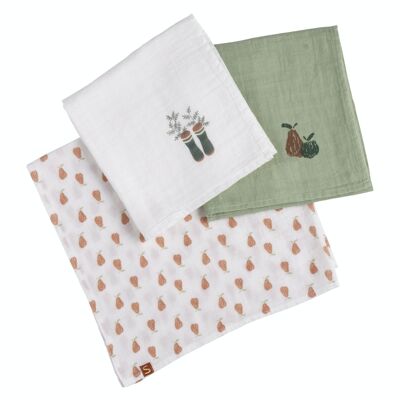 BOX OF 3 BIO BOTANICA SLIPS
