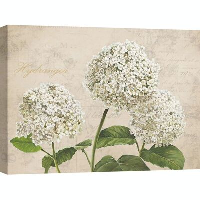 Shabby painting with flowers, on canvas: Remy Dellal, White Hydrangeas