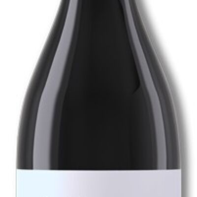 Nero D'Avola Biologique D.O.C. Sicile