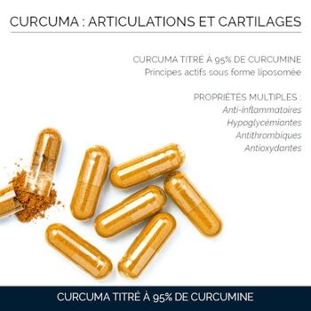 Curcuma Liposomal 95 % : Articulations & Cartilages 3