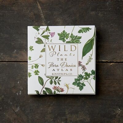 Square Cardfolder - The Flora Danica Atlas - Wild plants 8 cards w/envelopes