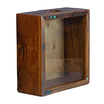 Caja de colección de corcho de madera reciclada