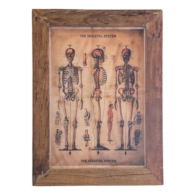 Mural Skeleton