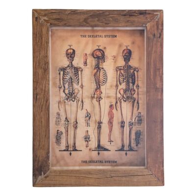 Wandbild Skeleton