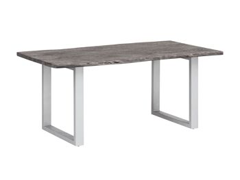 Table à manger Bullwer gris argenté 200x100 cm 1