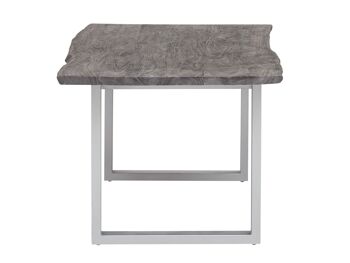 Table à manger Bullwer gris argenté 200x100 cm 4