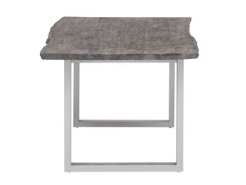 Table à manger Bullwer gris argenté 200x100 cm 9