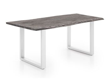 Table à manger Bullwer gris-blanc 230x100 cm 1