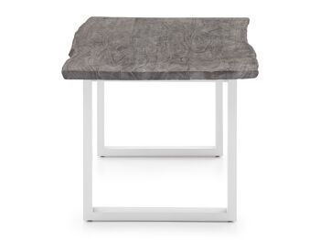 Table à manger Bullwer gris-blanc 230x100 cm 3