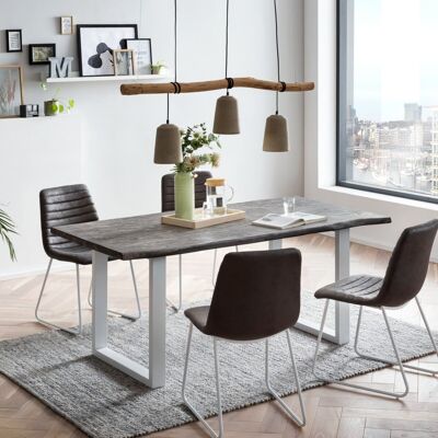 Table group Bullwer Grau with 4 chairs Milton grey/white
