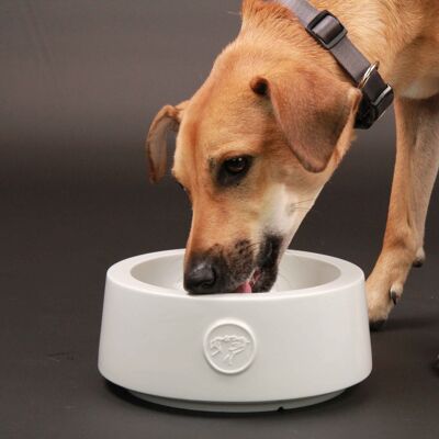 Porcelain dog bowl