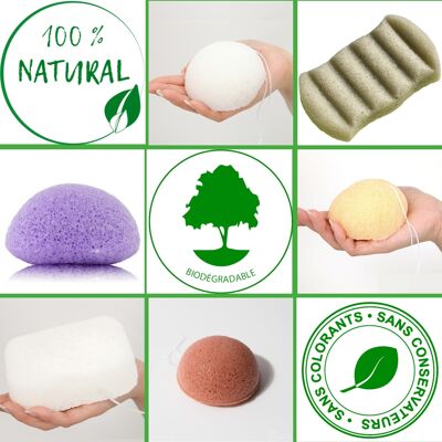 Lot of 10 + 1 free Konjac sponge 100% Natural Face and body - In Box | Several Models to Choose from