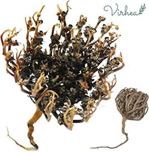 Rose de Jéricho en vrac – Chajarat Mariam