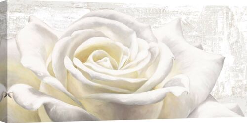 Quadro shabby, su tela: Jenny Thomlinson, Rosa bianca