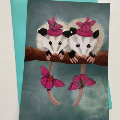 24 Hour Party Possums. Cute greetings card , wildlife art card