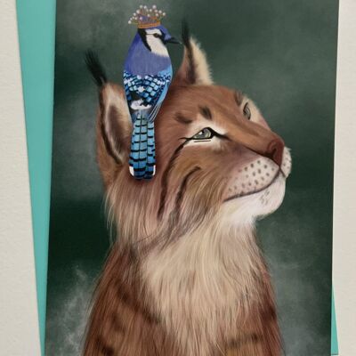 Bob & Blue Jay. Bob cat , lynx greetings card , wildlife , big cats art card