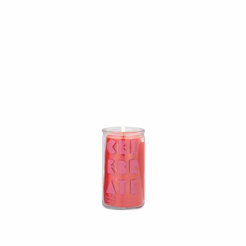 Spark 141g Candle - Celebrate - Cactus Flower