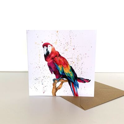Carte de voeux perroquet