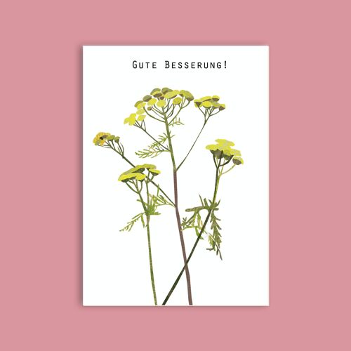 Postkarte Holzschliffpappe - Blumen - Rainfarn