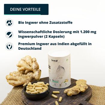 gélules de gingembre biologique brandl® à dosage élevé (gingembre) - qualité supérieure testée par des laboratoires indépendants - végétalien 3