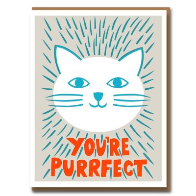 Sukie You're Purrfect Letterpress Card - S1E