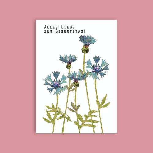 Postkarte Holzschliffpappe - Blumen - Kornblume